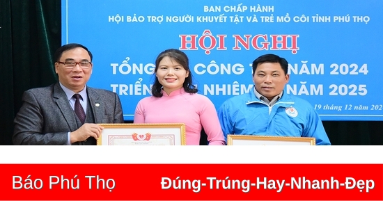 Hội nghị tổng kết công tác bảo trợ năm 2024