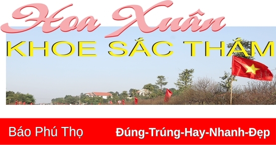 Hoa Xuân khoe sắc thắm