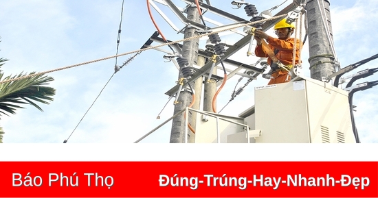 Ensuring safe and stable power supply during Tet