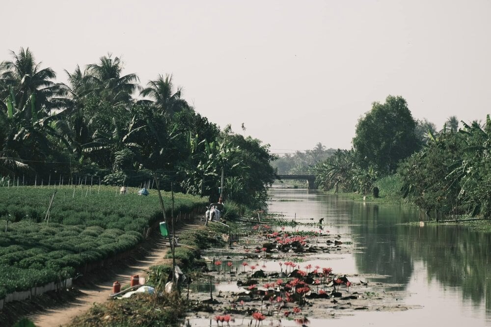 ជាមួយនឹងបទពិសោធន៍ក្នុងការថតរូបស្រដៀងគ្នាជាច្រើន លោក ដេត បាននិយាយថា ពេលវេលាដ៏ល្អសម្រាប់ទស្សនាសួនផ្កាគឺពេលព្រឹកព្រលឹមចាប់ពីម៉ោង ៦ ដល់ម៉ោង ៩ ព្រឹក ឬពេលរសៀលចាប់ពីម៉ោង ៤ ដល់ ៥ ល្ងាច។ រូបថត៖ NVCC