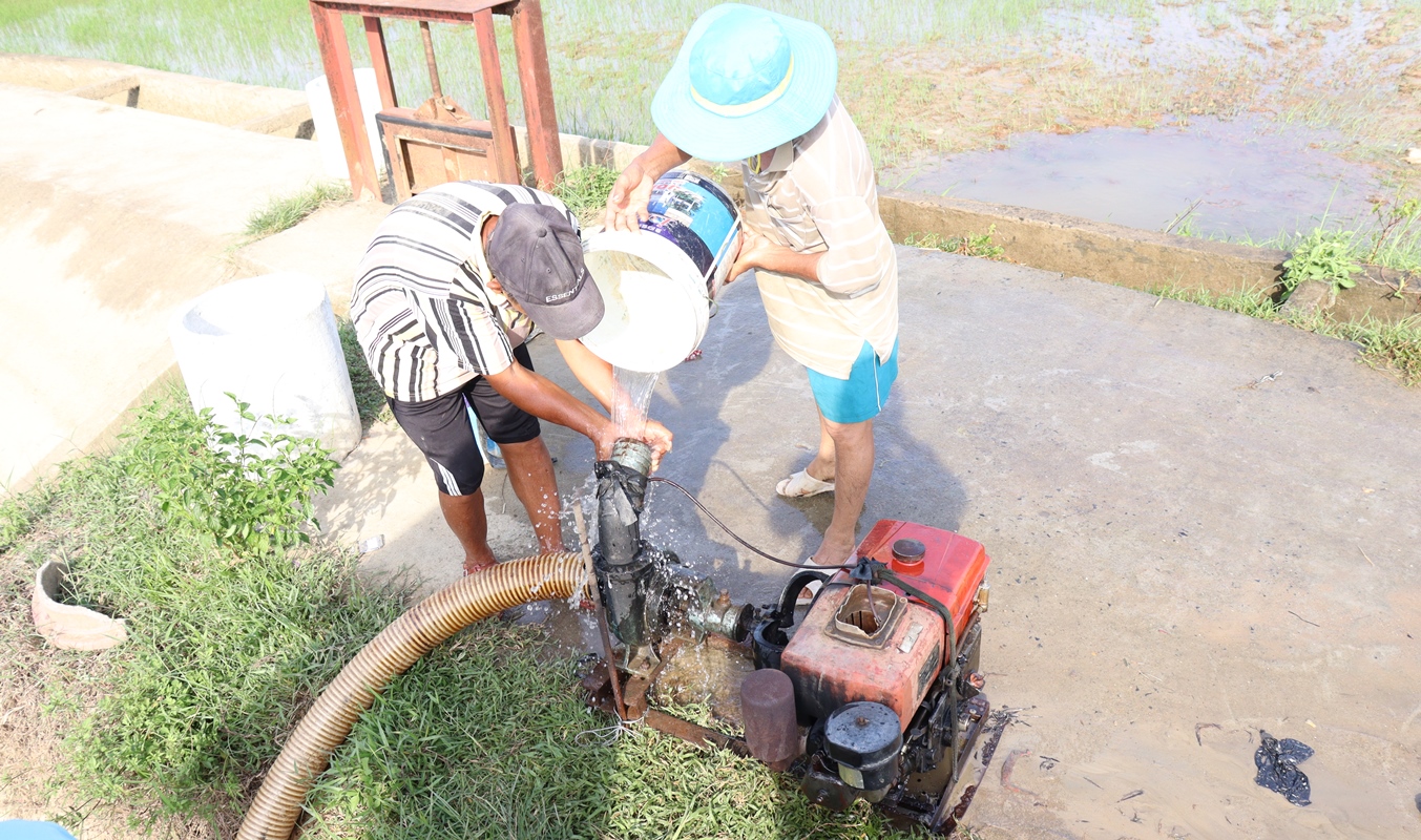 Tăng cường chống hạn hán, thiếu nước, phục vụ sản xuất vụ hè thu