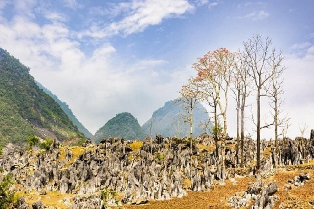 Tua Chua Stone Plateau is a limestone mountain area in Tua Chua district.