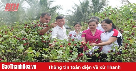 Quả ngọt trên cát bỏng