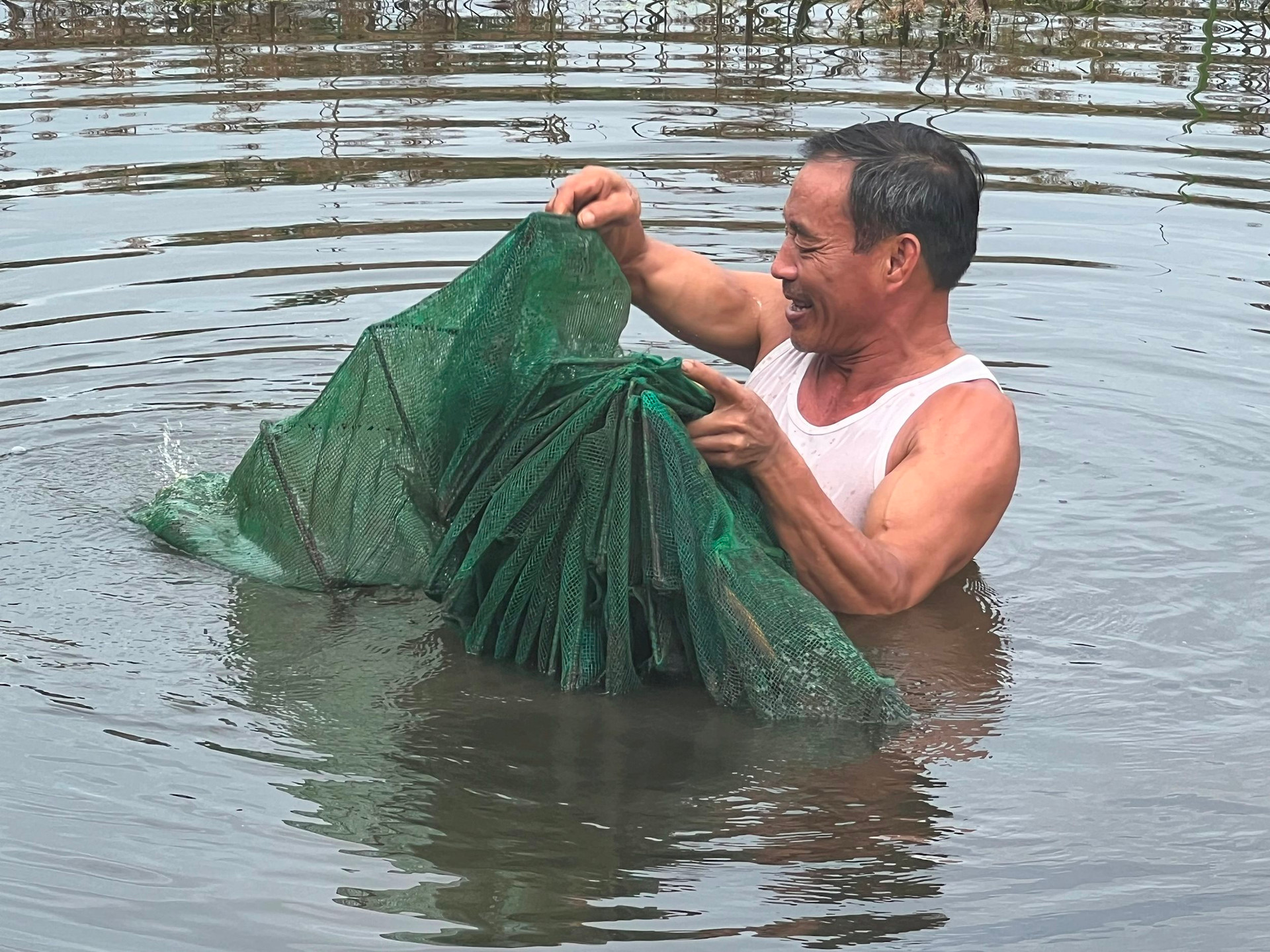 トゥキの池でナスを育てる見通し