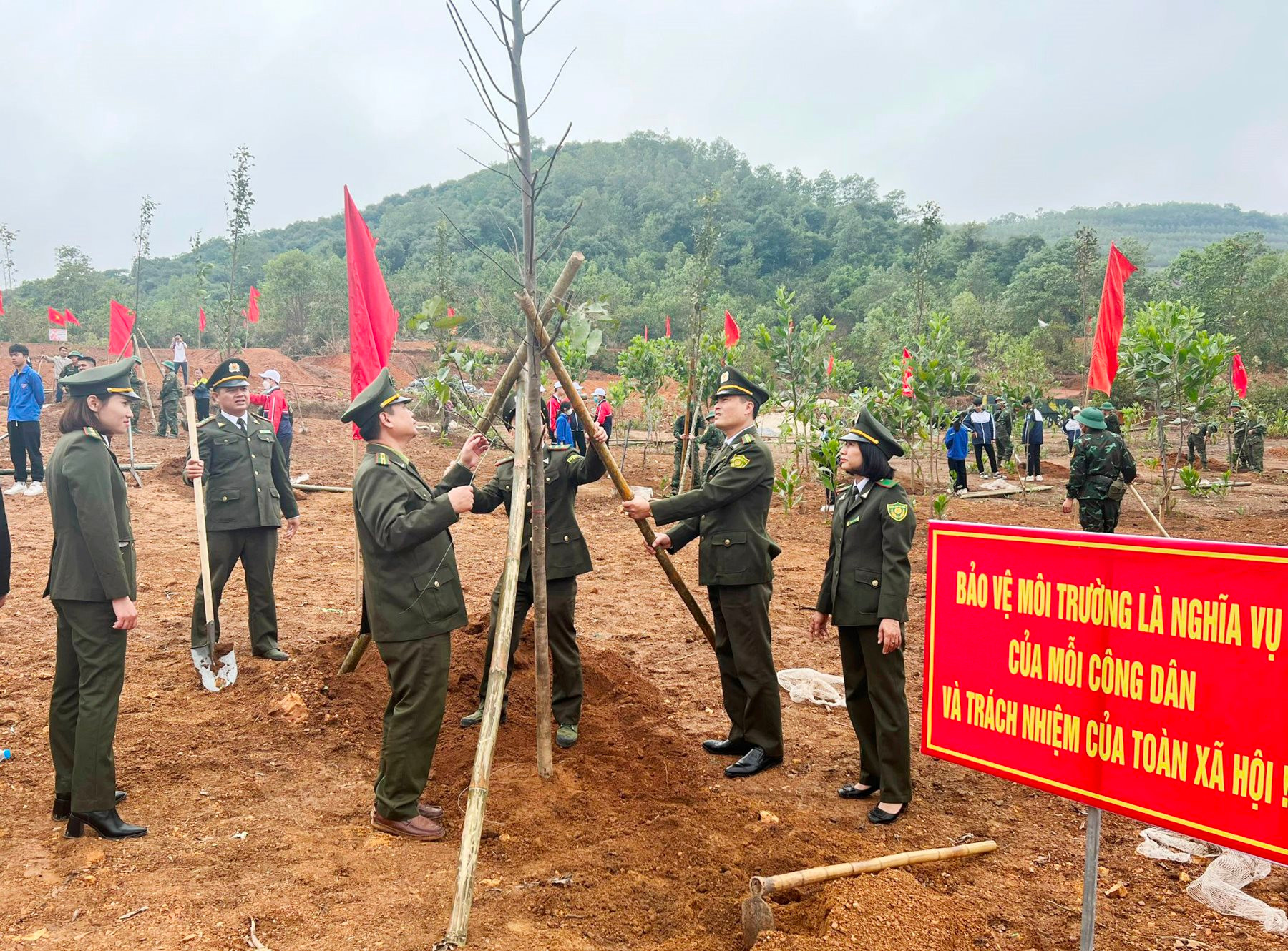 Hải Dương phát động Tết trồng cây xuân Giáp Thìn từ ngày 19/2