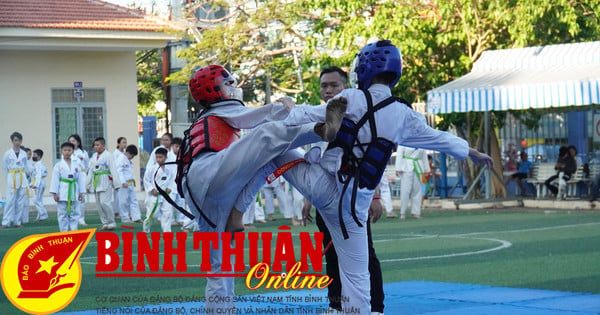 250 võ sinh Taekwondo thi nâng cấp đai