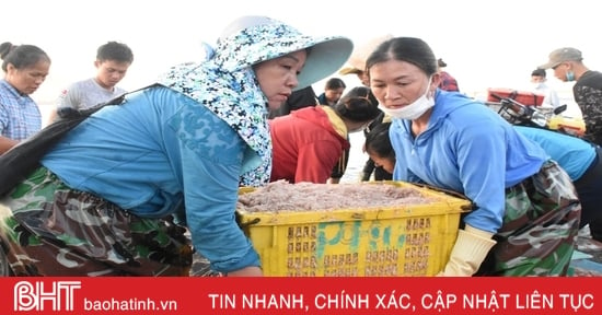 Ha Tinh ខិតខំធ្វើអាជីវកម្មគ្រឿងសមុទ្រ ៩០០ ពាន់លានដុងក្នុងរដូវនេសាទភាគខាងជើង