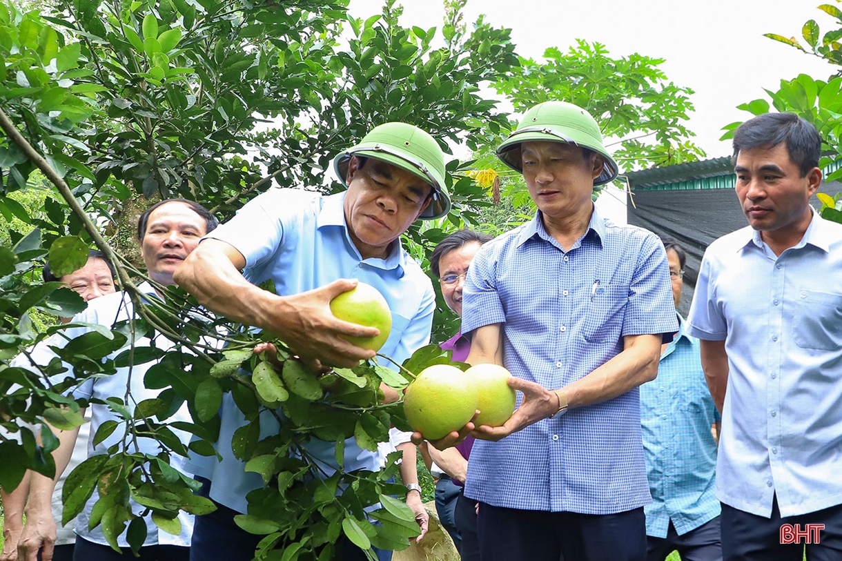 Xây dựng NTM ở Hà Tĩnh: Đi vào chiều sâu, hiệu quả và bền vững (Bài 4): Bồi đắp những giá trị mới trong nông nghiệp, nông dân và nông thôn