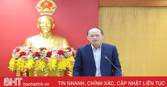 Early completion of the project to develop organic agriculture in Ha Tinh province