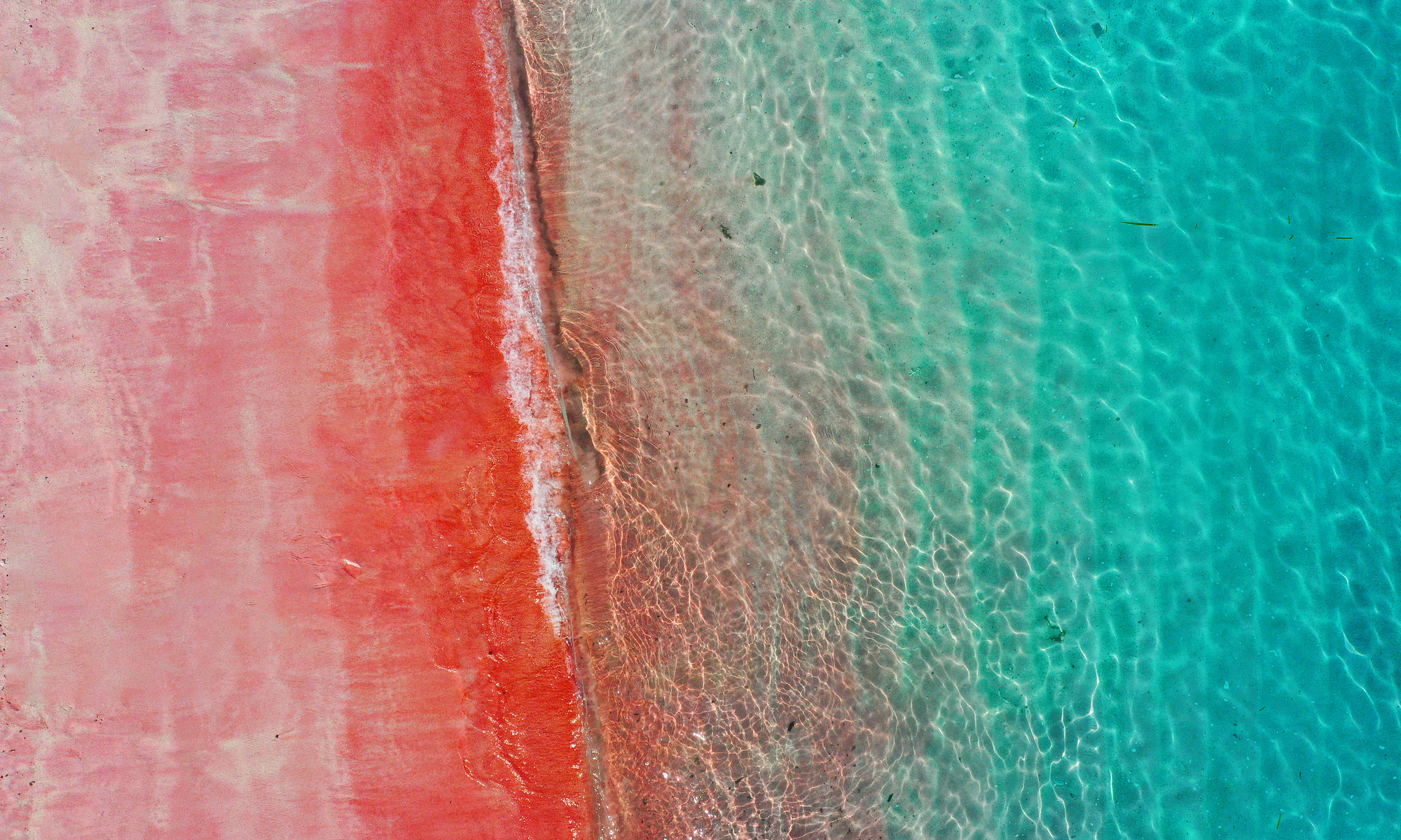 La plage rose d'Indonésie vue par les touristes vietnamiens