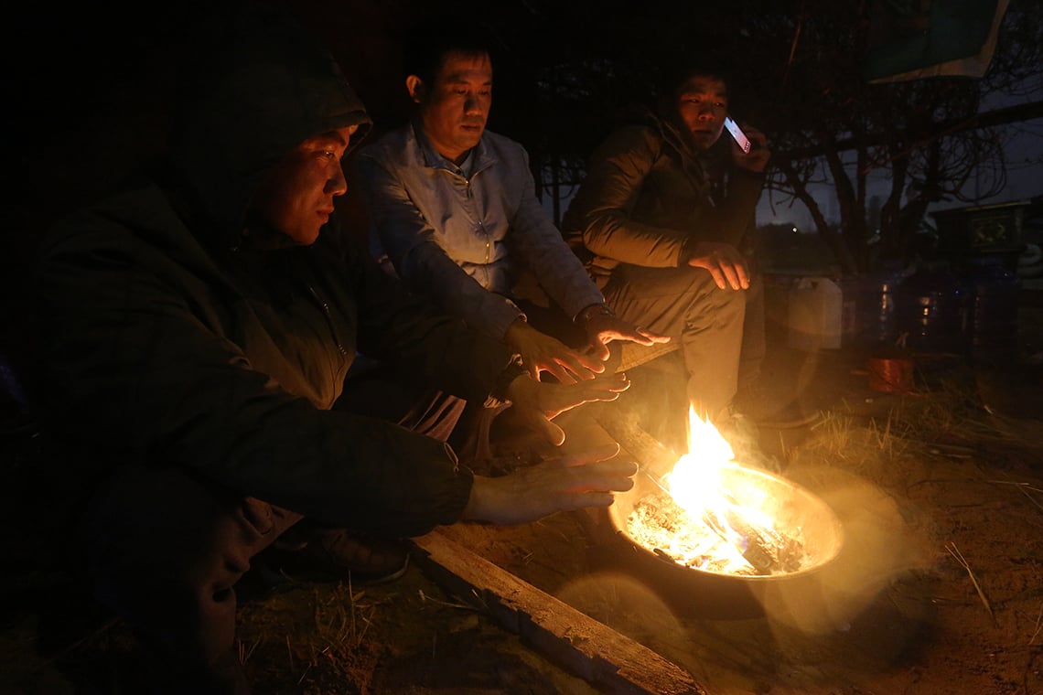 Kumquat et pêchers dans la nuit froide