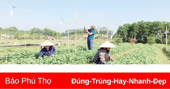 Gìn giữ, vun đắp nghề truyền thống