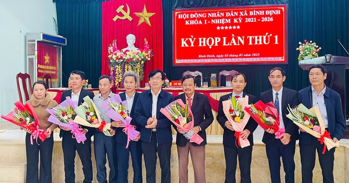 Binh Dinh and Binh Phu communes elect key personnel after merger