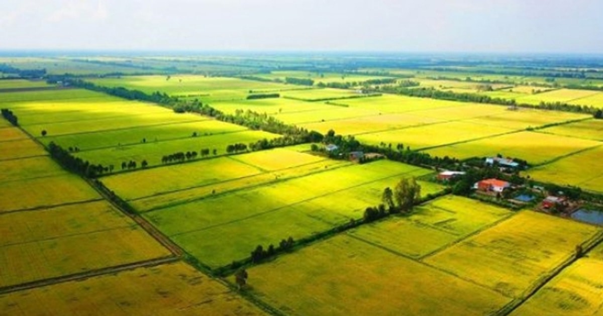 Règlement sur les procédures de location de terres à court terme à Quang Nam