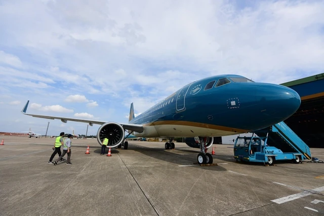 Wie viele Flugzeuge besitzen vietnamesische Fluggesellschaften?