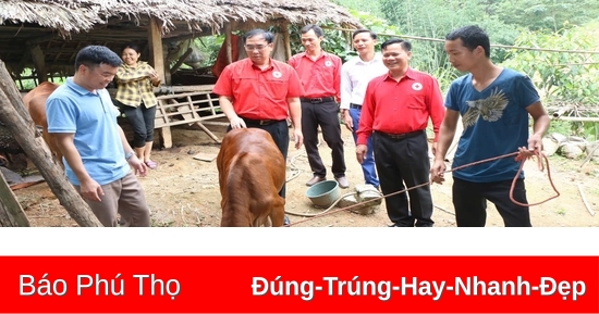 Hiệu quả từ c uộc vận động “Mỗi tổ chức, mỗi cá nhân gắn với một địa chỉ nhân đạo”