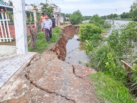 ดินถล่มและดินถล่มริมฝั่งแม่น้ำได้ทำลายบ้านเรือนและสิ่งปลูกสร้างริมแม่น้ำจำนวนมาก ในภาพ: ดินถล่มริมฝั่งแม่น้ำก๋ายเคาในตำบลฟู้ดึ๊ก อำเภอลองโห่ เมื่อวันที่ 9 มิถุนายน 2566