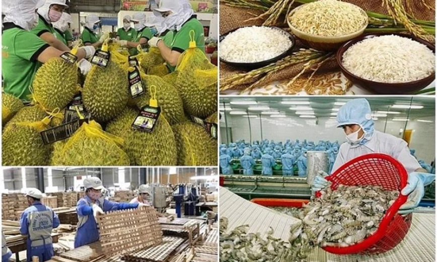 Agricultural, forestry and fishery exports in 2024 - New record, new position