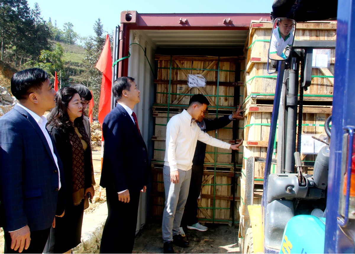 Los líderes del distrito de Xin Man y Vietnam Misaki Company Limited presenciaron cómo se colocaban rábanos encurtidos en contenedores.