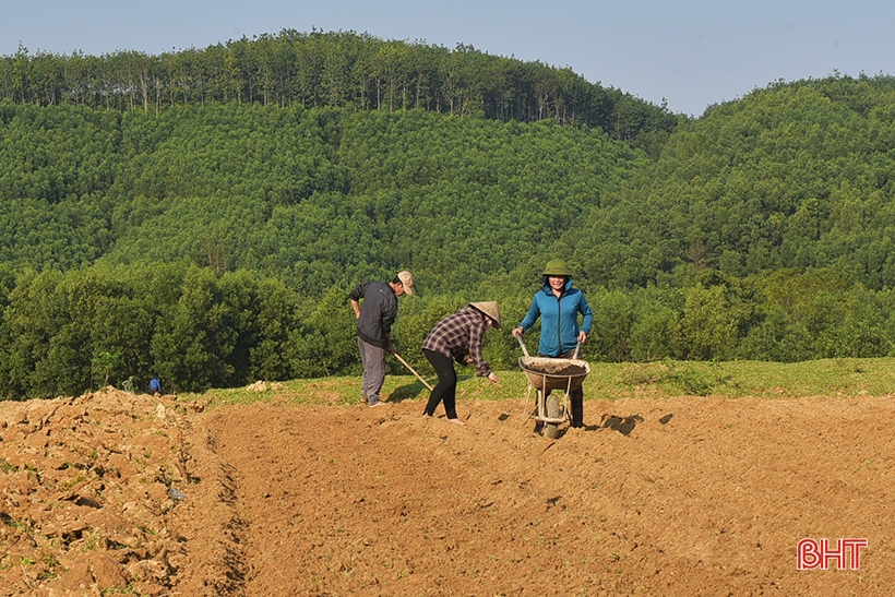 Les agriculteurs de Huong Khe sont occupés à semer les cultures d'hiver.