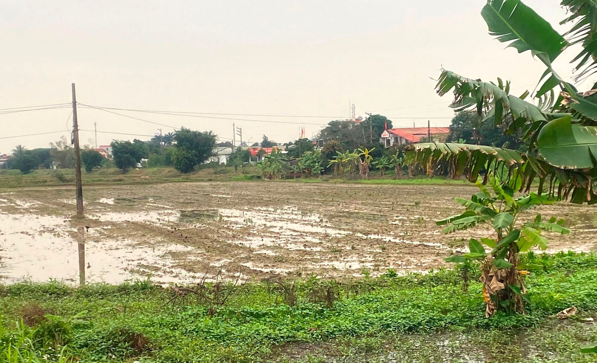 Le département régional des impôts de Ninh Thanh applique la collecte d'impôts de près de 197 milliards de VND auprès de la société Viet Hung