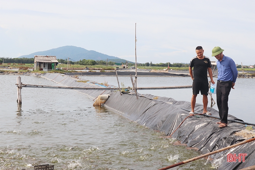 ការរំពឹងទុកពីគំរូកសិកម្ម pomfret ពណ៌សលឿង