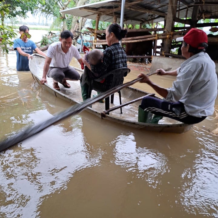 Đến thời điểm hiện tại, toàn phường Phổ Minh, thị xã Đức Phổ, 30 ngôi nhà bị ngập lụt từ 30cm đến hơn 1,5m. UBND phường Phổ Minh tổ chức di dời 15 hộ dân đến nơi tránh trú an toàn. (Ảnh: N.Đ)