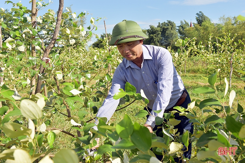 Người cựu chiến binh và nỗ lực cải tạo bãi bồi ven sông La