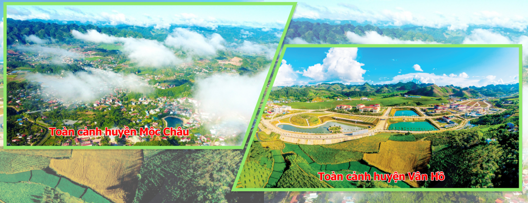 https://baonamdinh.vn/file/e7837c02816d130b0181a995d7ad7e96/052024/1_20240510180710.png