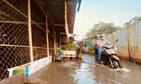 Ciudad Ho Chi Minh está a punto de recibir el pico de la marea alta, las carreteras corren el riesgo de inundarse