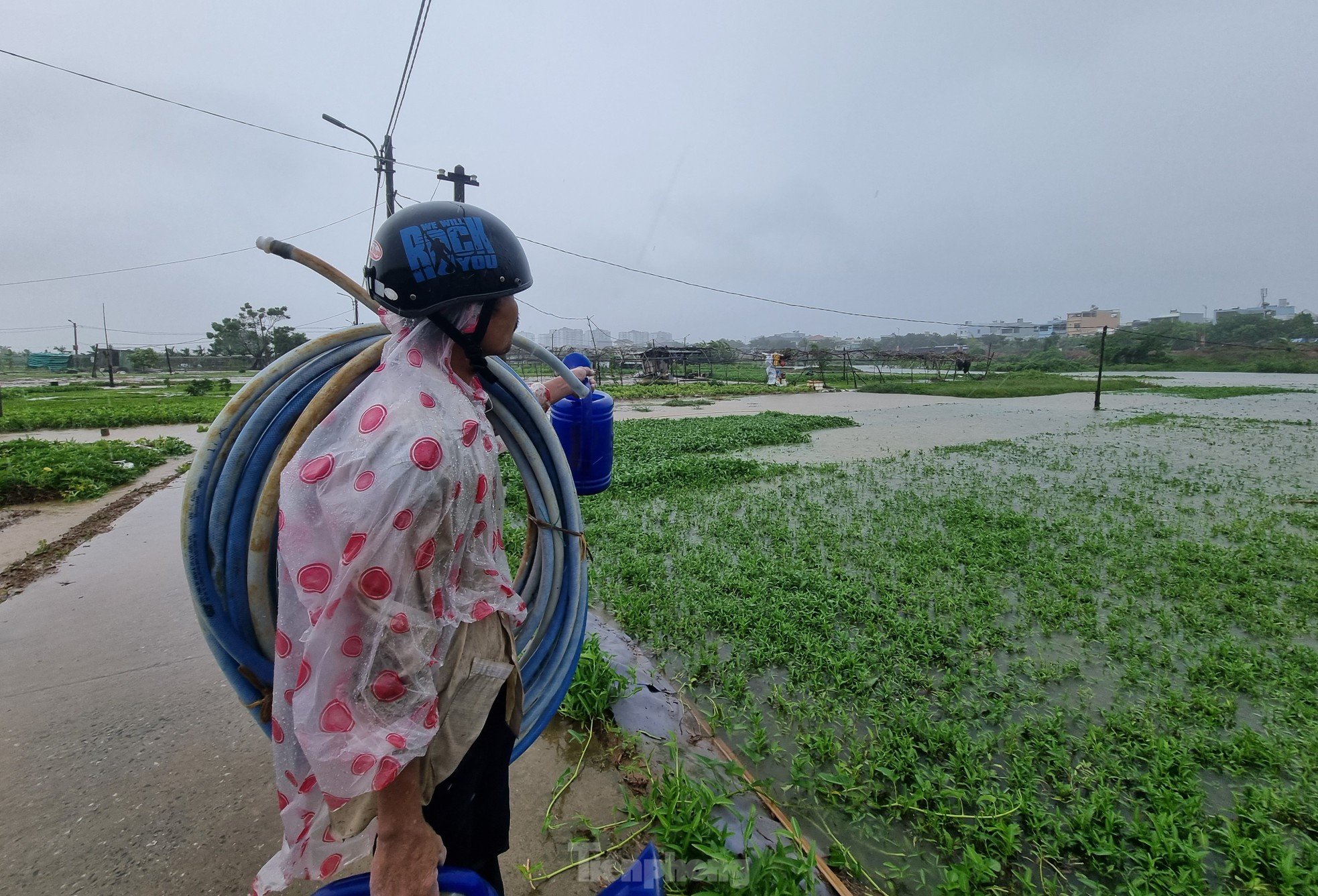 Nach anhaltendem Regen steht das größte Gemüseanbaugebiet von Da Nang unter Wasser. „Die Menschen können nicht rechtzeitig reagieren“, Foto 6.