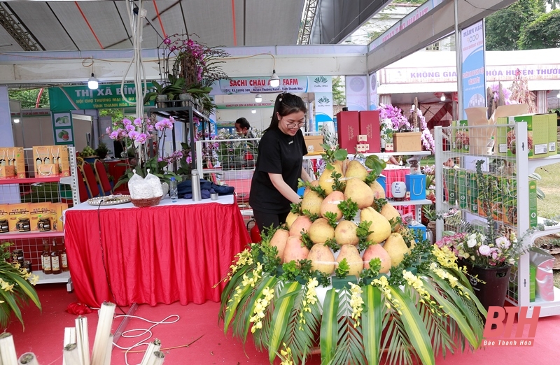 พร้อมเปิดตัว “งานแสดงสินค้าและการท่องเที่ยวทัญฮว้าตะวันตก 2024”