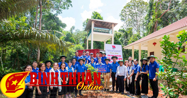 Recibiendo el proyecto "Dulce fruto de las reliquias" de la juventud de Tay Ninh