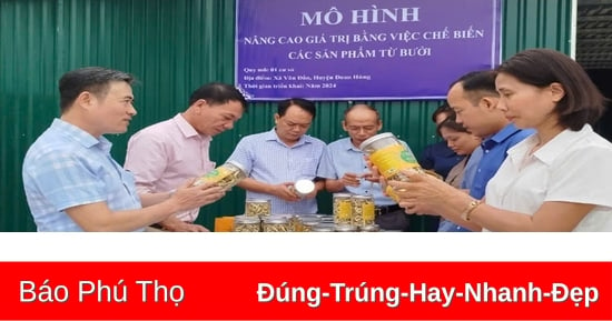 Giải pháp nâng cao giá trị kinh tế cây bưởi