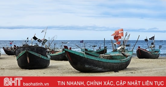 Hà Tĩnh tăng cường thực hiện nhiệm vụ chống đánh bắt cá bất hợp pháp