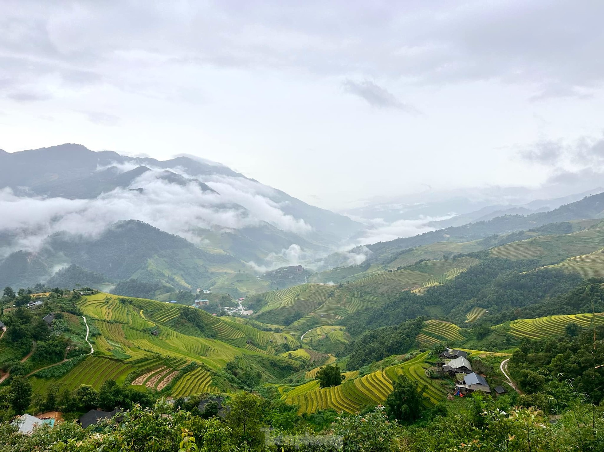 Brillante Mu Cang Chai en la temporada de arroz maduro. Foto 1