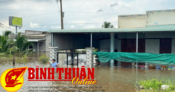 Implementar urgentemente soluciones para superar las inundaciones en el distrito de Ham Thuan Nam