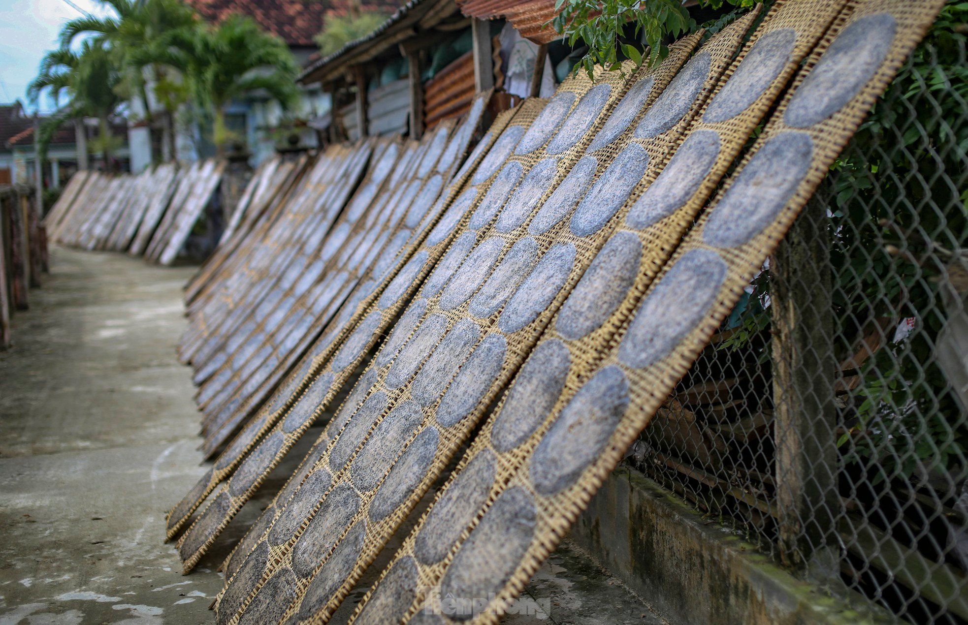 Làng bánh tráng nức tiếng Bình Định tranh thủ nắng ráo nổi lửa kịp phục vụ Tết ảnh 13