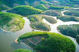 Entdecken Sie die wunderschönen Teehügel in Vietnam