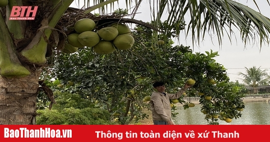 Những mô hình trang trại tuần hoàn khép kín cho thu nhập cao