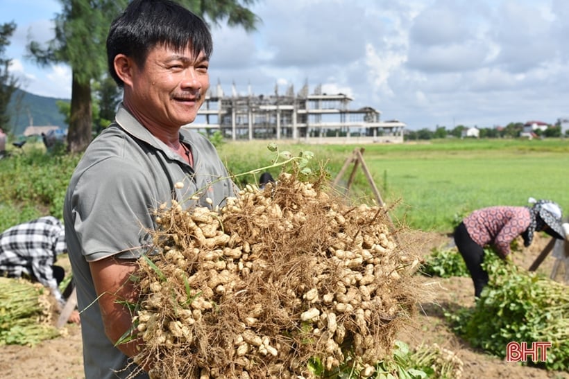 Lộc Hà đa dạng cách thức sản xuất trong xây dựng nông thôn mới