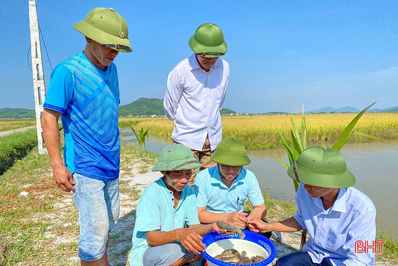 L'agriculteur reste attaché à la terre, aux champs, à la recherche de nouvelles orientations pour le développement économique