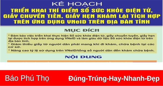 Kế hoạch triển khai thí điểm sổ sức khỏe điện tử, giấy chuyển tiền, giấy khám hẹn lại tích hợp trên ứng dụng VNeID trên địa bàn tỉnh