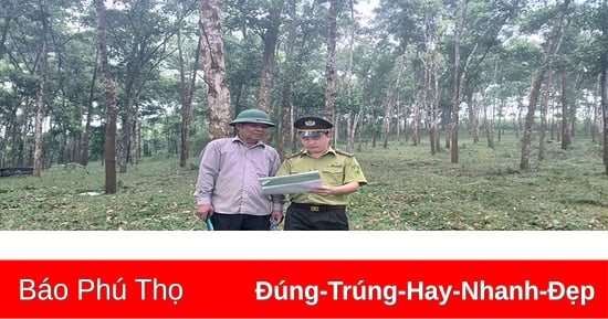 Khai thác tiềm năng, phát triển kinh tế lâm nghiệp