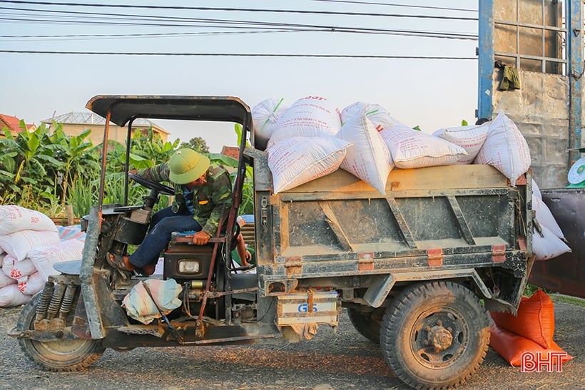 Nông dân Hà Tĩnh phấn khởi xuống đồng thu hoạch lúa hè thu