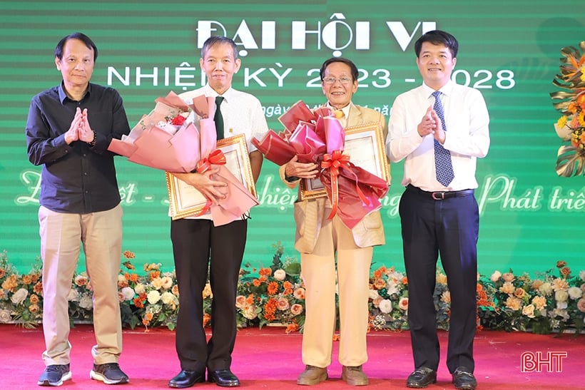 하띤 건축을 진보적이고 현대적이며 독특한 방식으로 개발합니다.