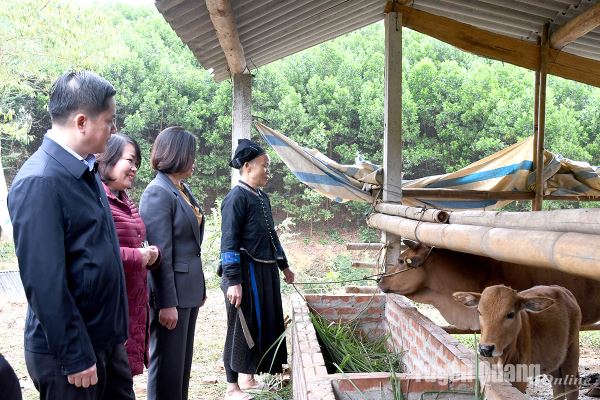 몽족 소 지원 프로젝트: 사람들의 생계 창출