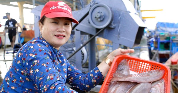 Les pêcheurs du centre ont une excellente sortie de pêche de fin d'année