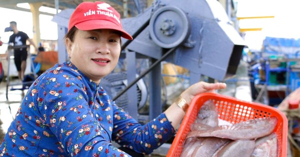 Los pescadores del centro del país disfrutan de un excelente viaje de pesca de fin de año