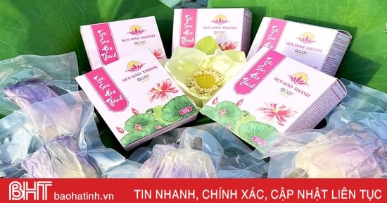 Chương trình OCOP 2023 ở Hà Tĩnh chú trọng sản phẩm chế biến sâu